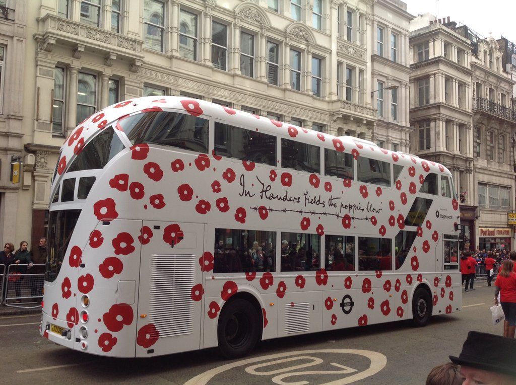 Red Poppies Bus