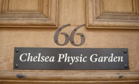 Chelsea Physic Garden. Foto via Flickr da giuliaduepuntozero