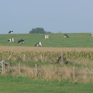 Avebury