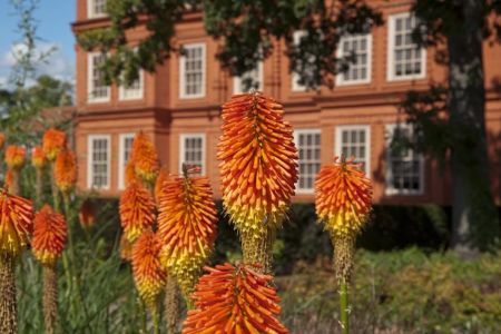 Red Hot Poker and Kew Palace