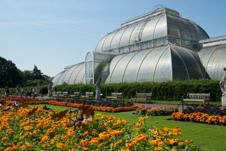 Palm House a Kew Gardens