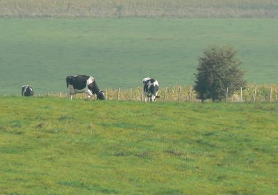 Avebury