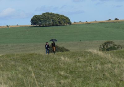 Avebury