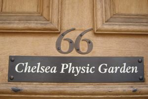 Chelsea Physic Garden