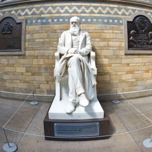 Museo di Storia Naturale: Charles Darwin