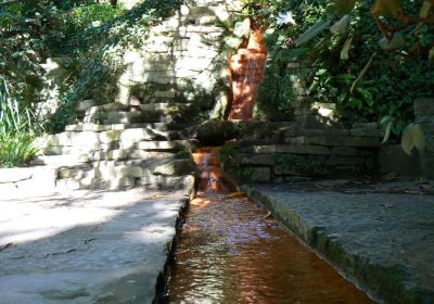 Glastonbury Chalice Well