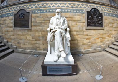 Museo di Storia Naturale: Charles Darwin