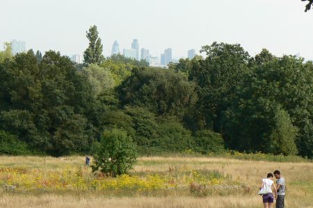 Hampstead Heath