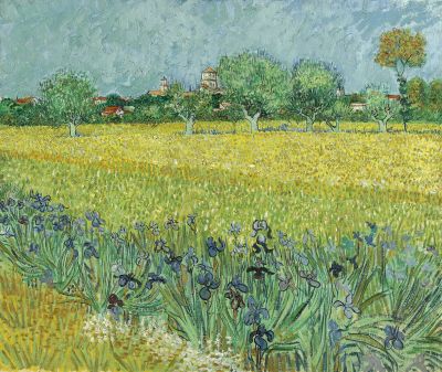 Vincent van Gogh, Field with Irises near Arles, 1888. Oil on canvas, 54 x 65 cm. Van Gogh Museum, Amsterdam (Vincent van Gogh Foundation)