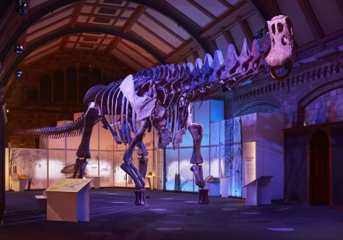 Mostra Titanosaur Londra