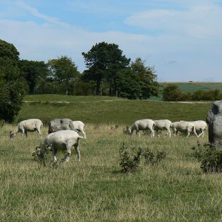 Avebury