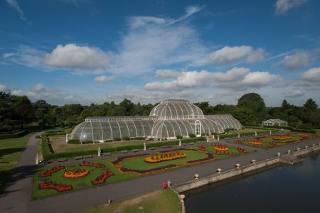 Palm House, Kew Gardens