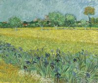 Vincent van Gogh, Field with Irises near Arles, 1888. Oil on canvas, 54 x 65 cm. Van Gogh Museum, Amsterdam (Vincent van Gogh Foundation)